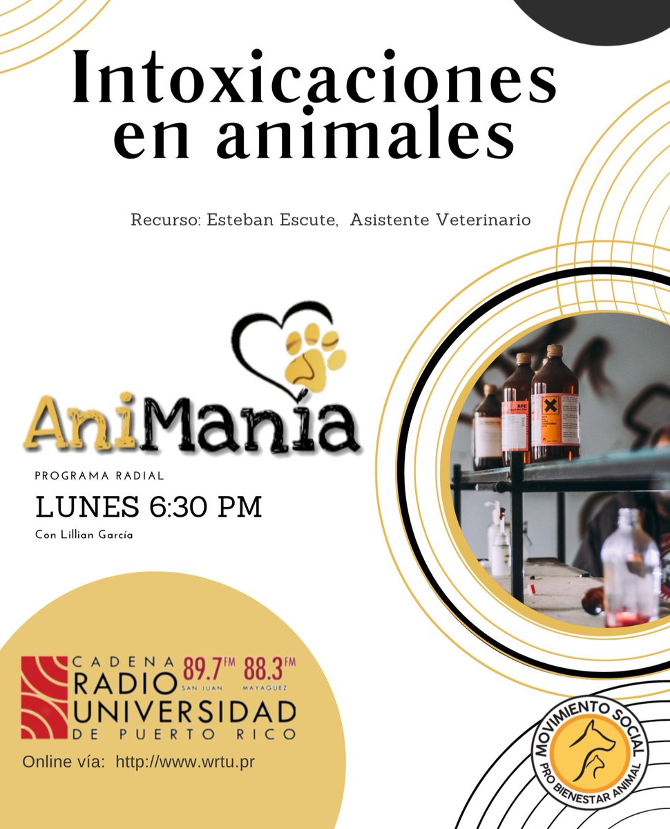 Movimiento Social Pro Bienestar Animal (MOSPBA) tweet media