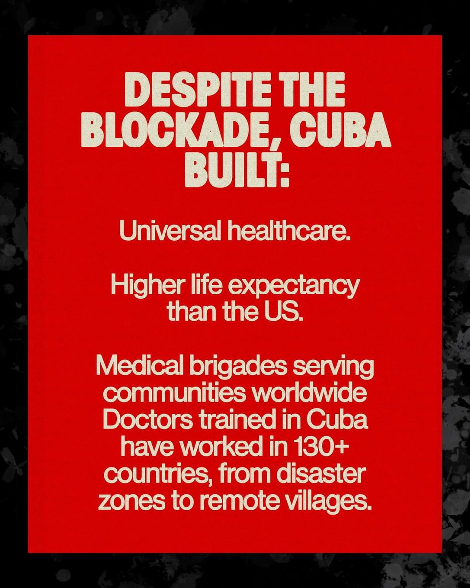 Corpus Christi DSA 🌹 tweet media