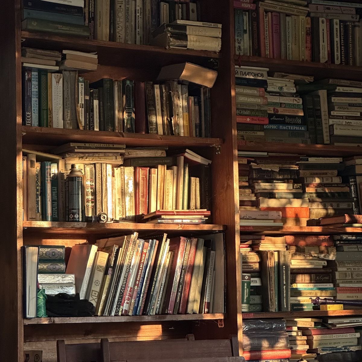 Bonnie 📚 tweet media