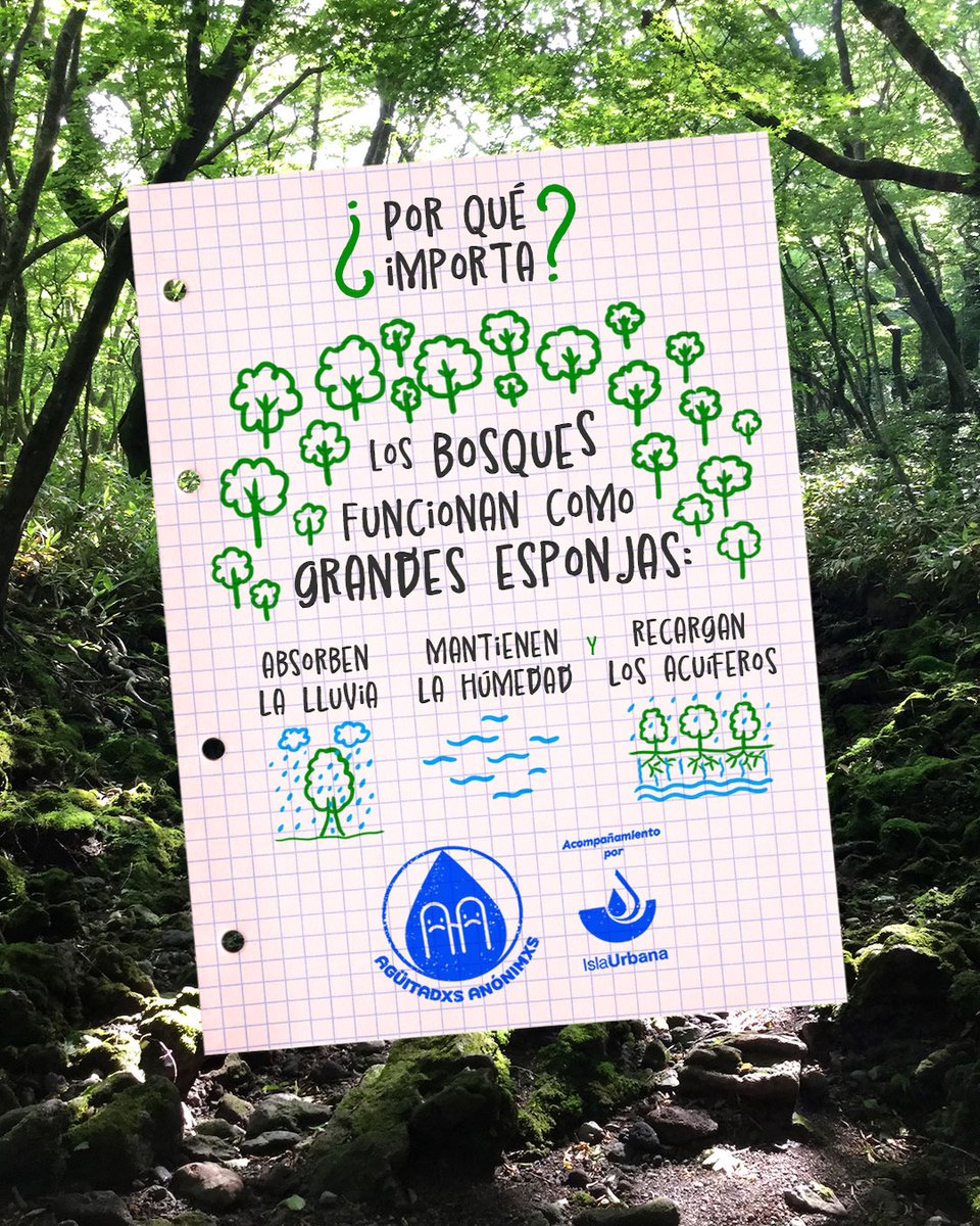 IslaUrbana's tweet photo. Sin bosques, no hay agua 🌳💧
Aún estamos a tiempo de cambiar la historia, en Agüitadxs Anónimxs te acompañamos en el proceso. https://t.co/zJiWhwBtf3