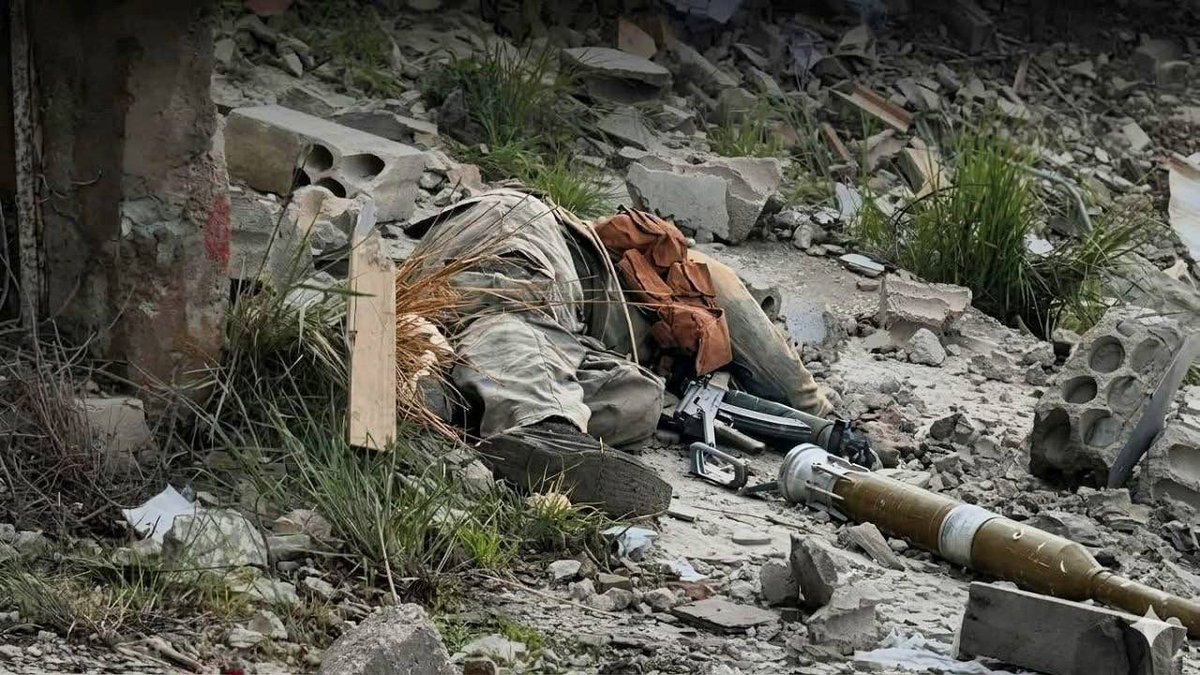 عقبة بن حرزالله tweet media