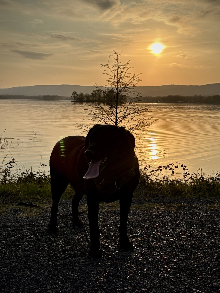 ⁦<a href="/spann/">James Spann</a>⁩ Weiss Lake sunset