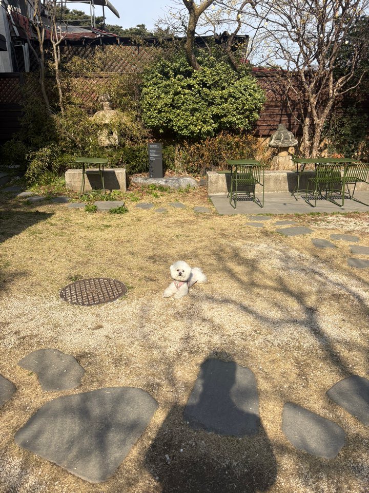 ์ค๋ฆฌ๐ฆ tweet media