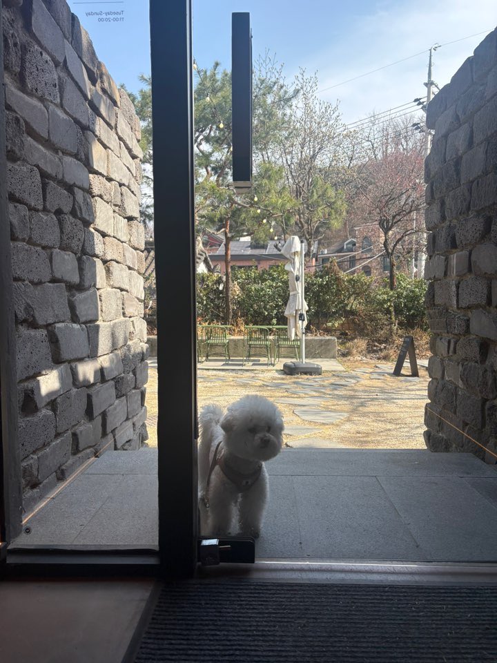 ์ค๋ฆฌ๐ฆ tweet media