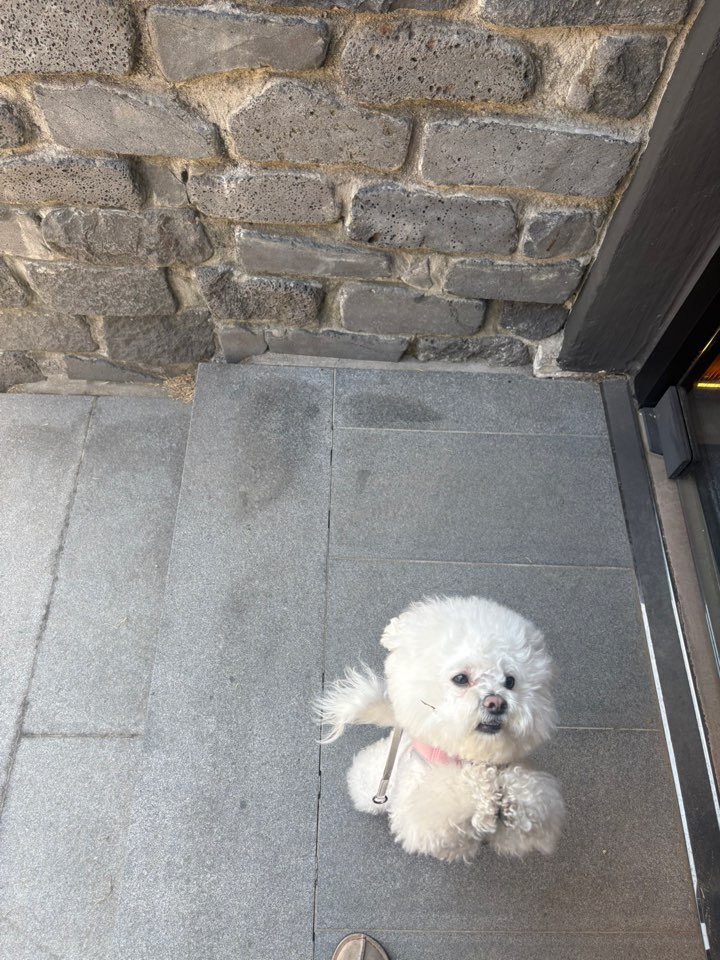 ์ค๋ฆฌ๐ฆ tweet media