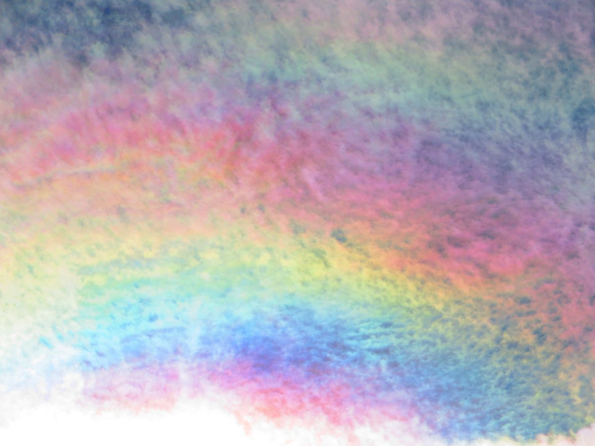 荒木健太郎 tweet media