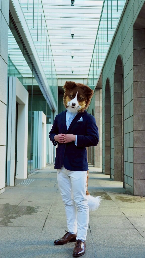 Legitimacy

Photo by (<a href="/yultuku/">ユック</a> )

#shippocrafts 
#FursuitEveryday 
#Bill_CurtisMemory