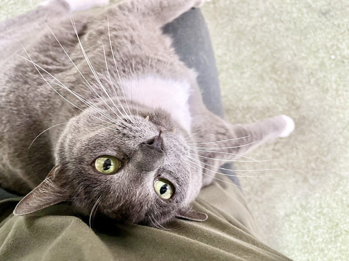 moegi0218@5/5.6 artevarie tweet media