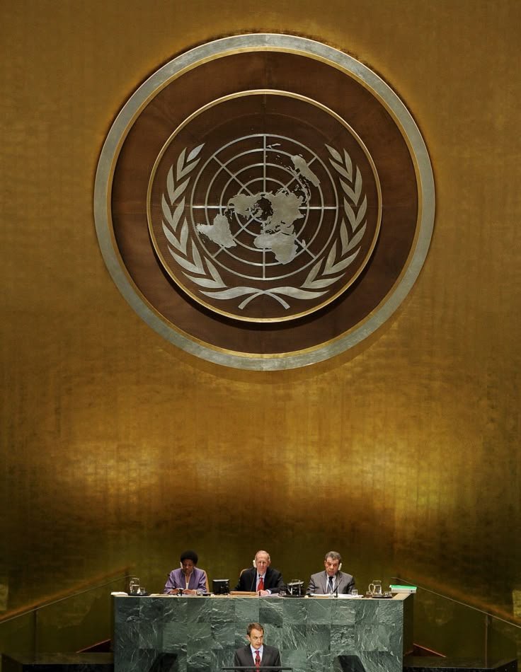 NPOMV | Zine tweet media