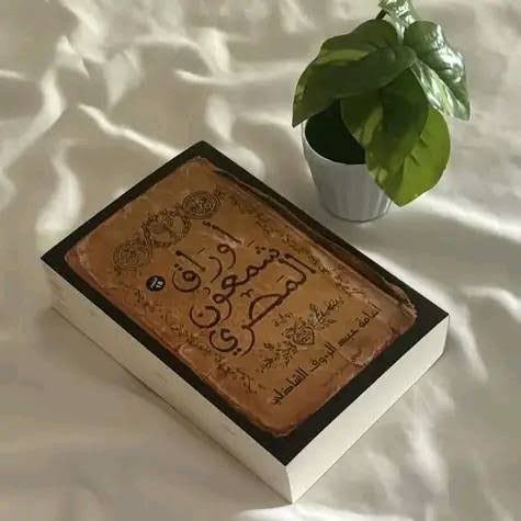 Ahmed elsayed tweet media