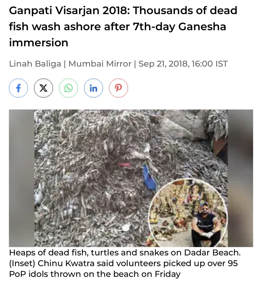 Info Battle Maiden tweet media