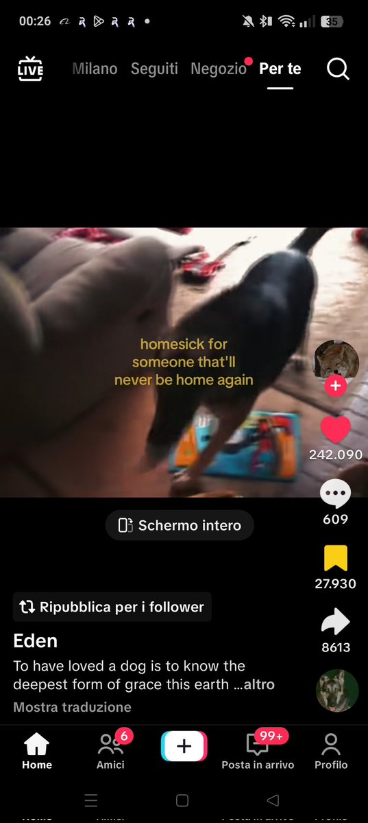 ~zak 🇵🇸 #abbiamovintoNOi tweet media