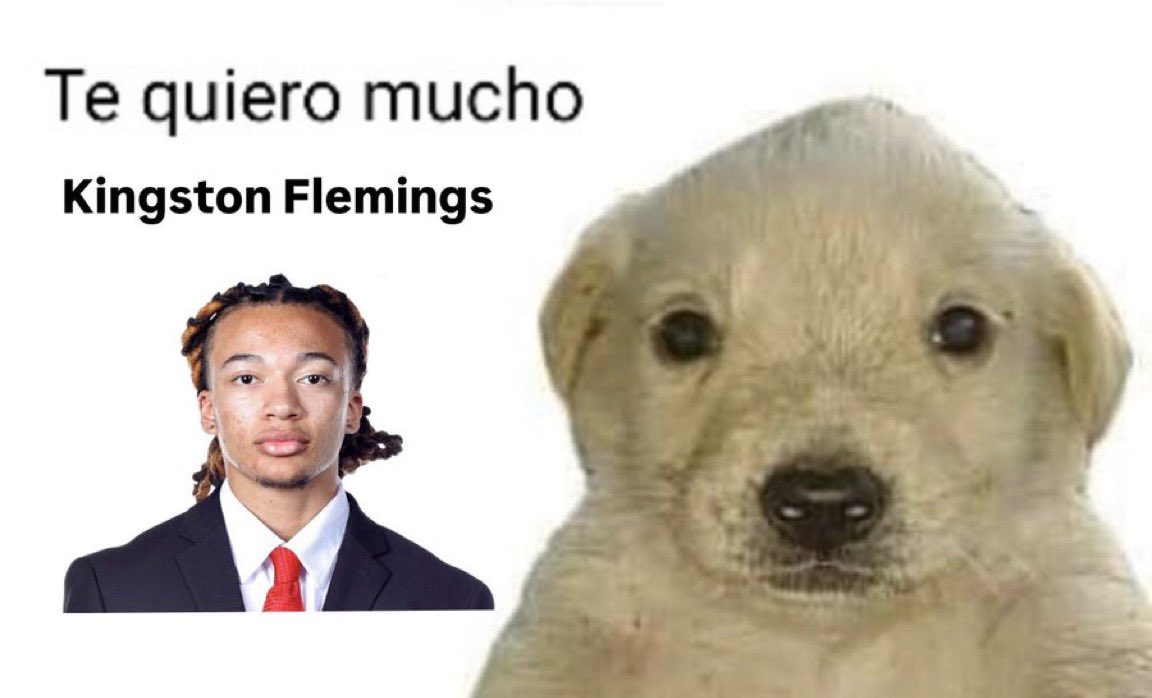 Coogs Enjoyer tweet media