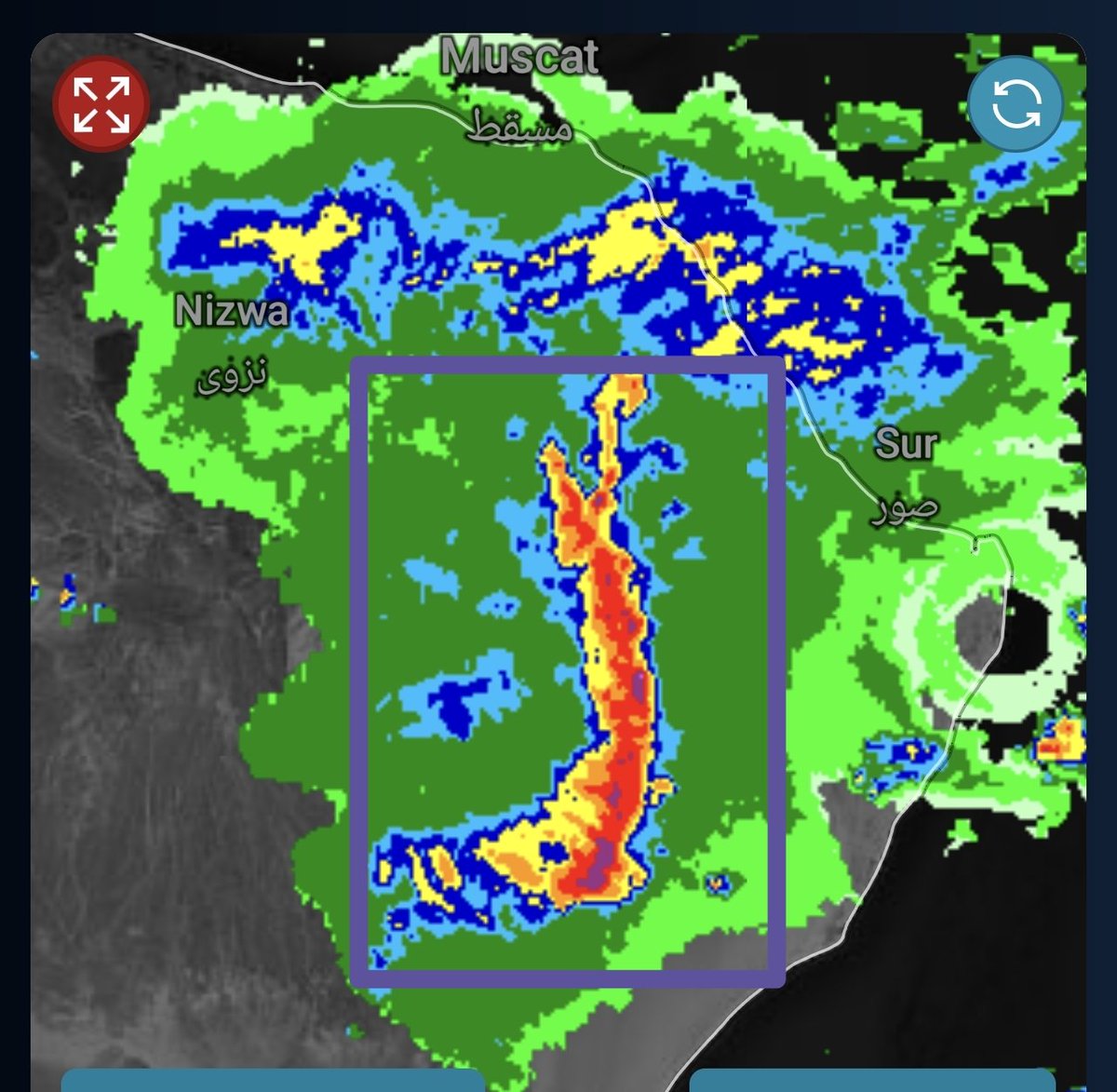 أبو المتوكل أحمد الحضرمي tweet media