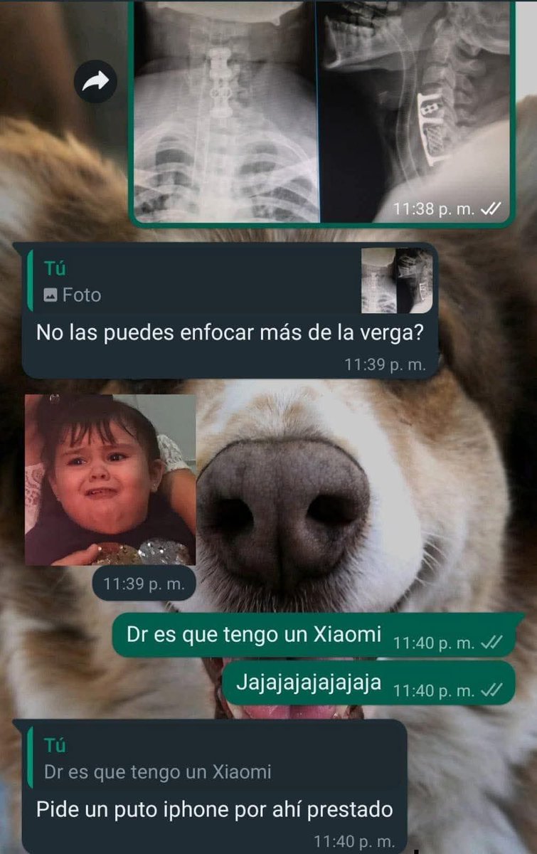 Adscritosaurio Rex 🦖💉 tweet media