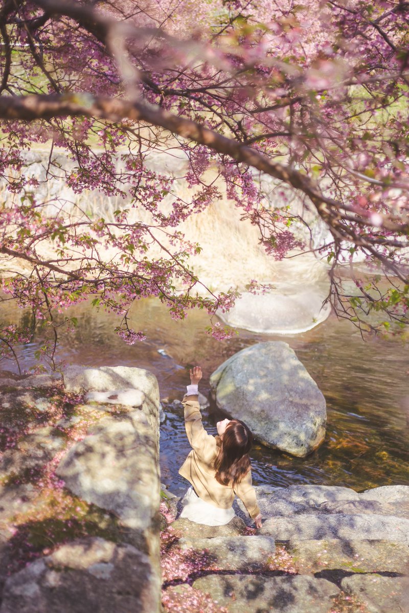 こもれびもか tweet media