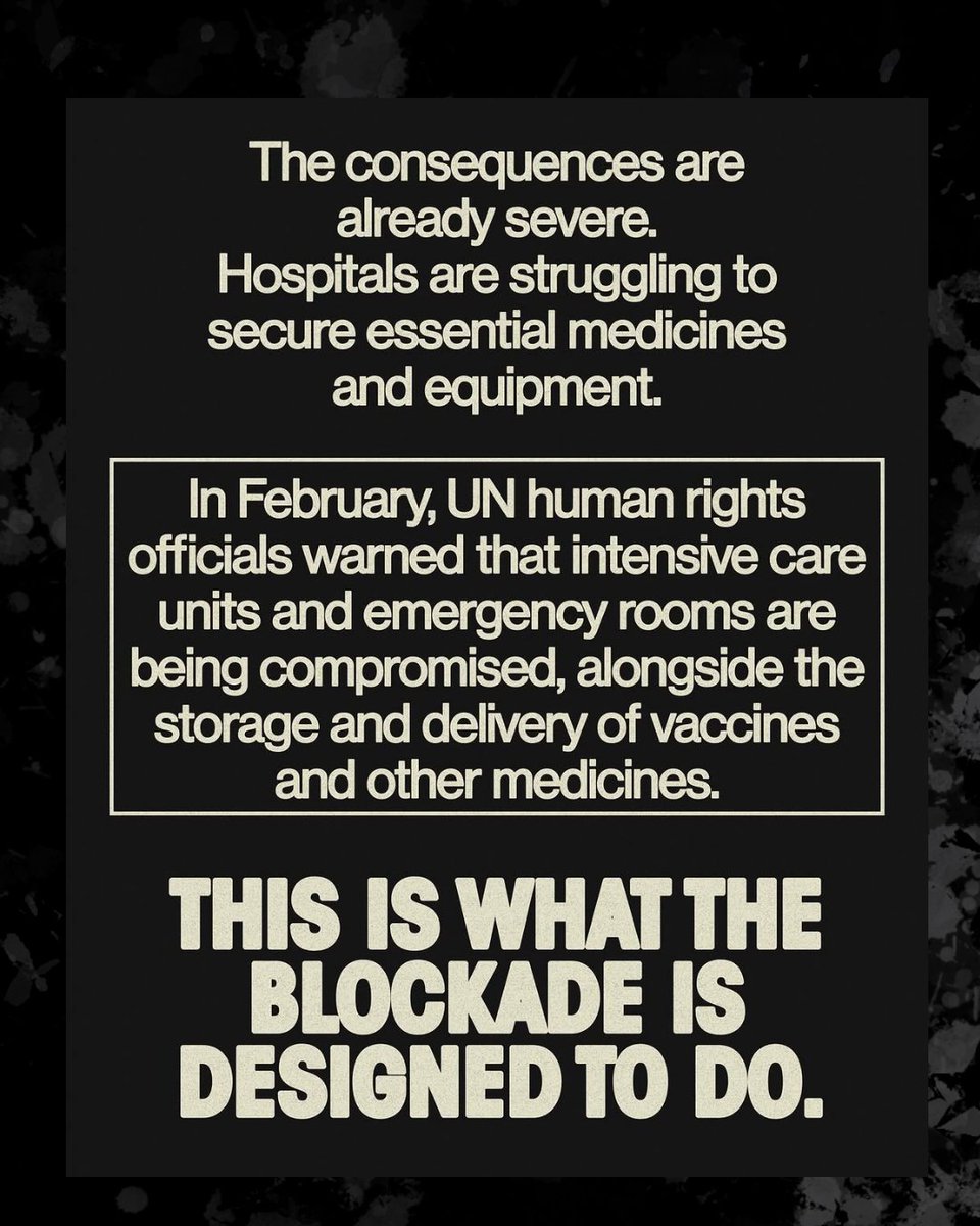 Corpus Christi DSA 🌹 tweet media