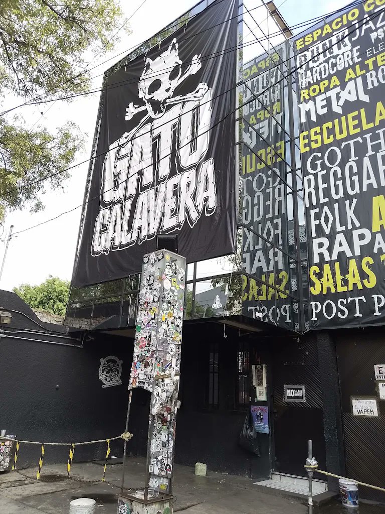 FILTER México tweet media