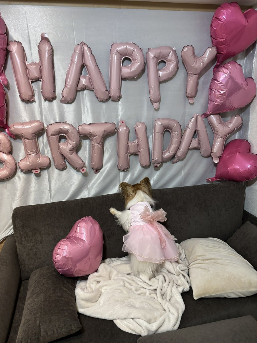 しふぉん tweet media