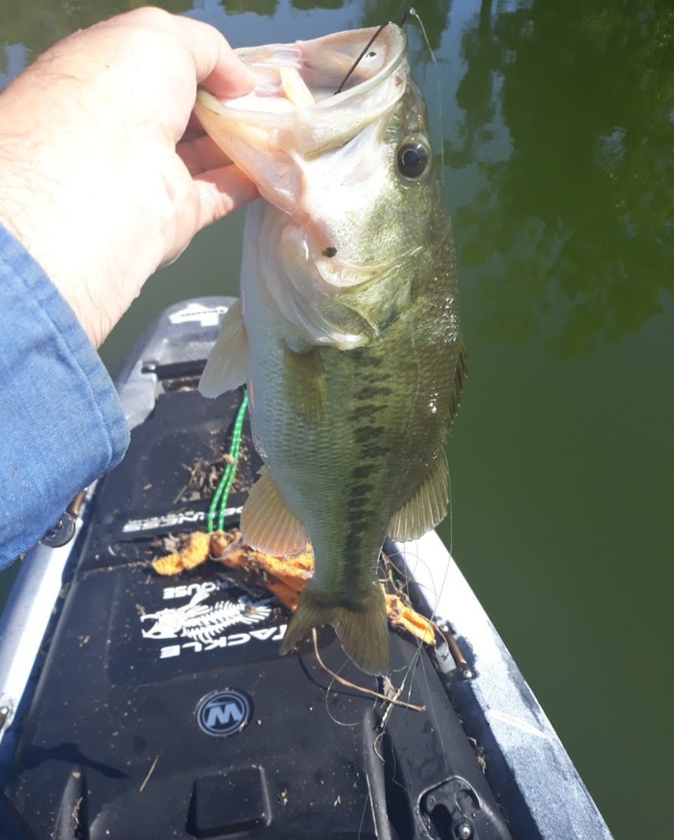 Marsh Mud tweet media