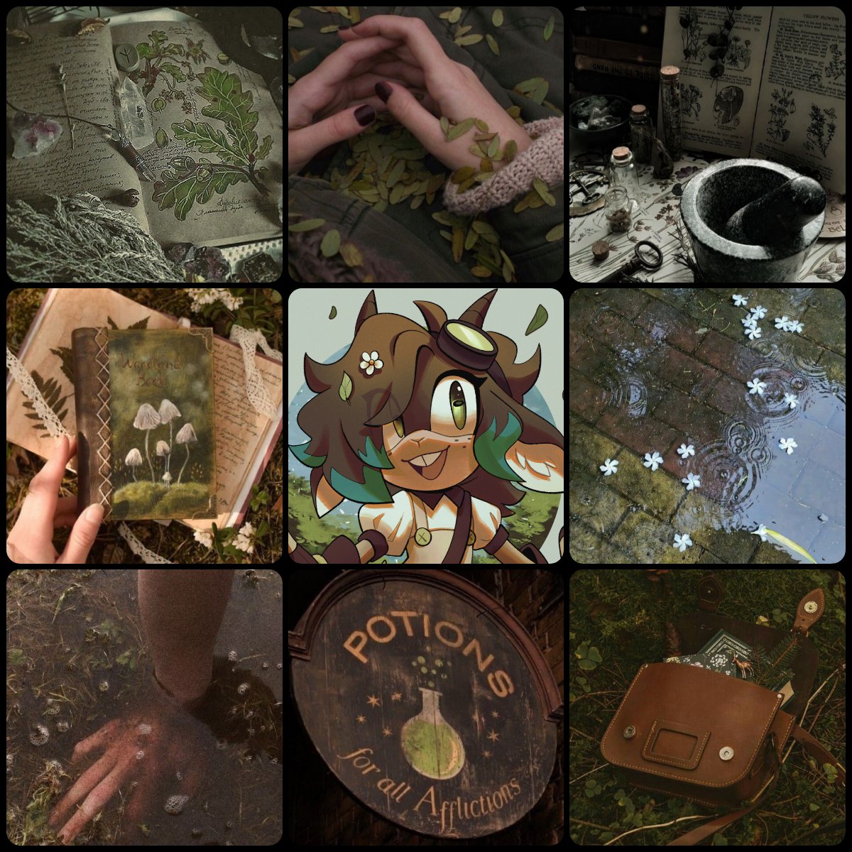 .°• ✨ Starly 🌱🌙🍄 tweet media