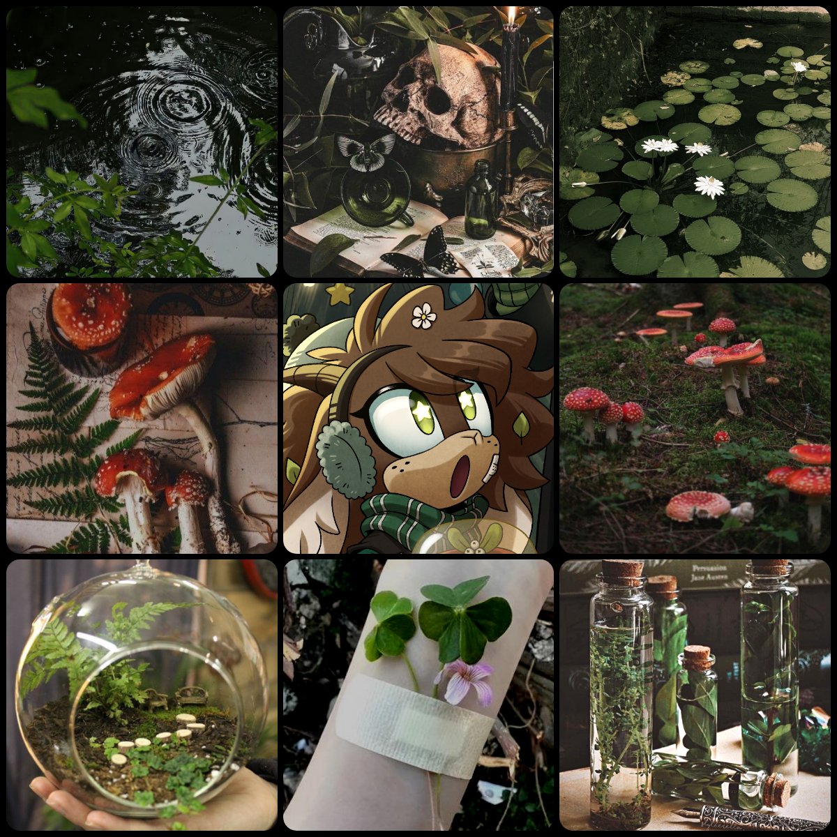 .°• ✨ Starly 🌱🌙🍄 tweet media