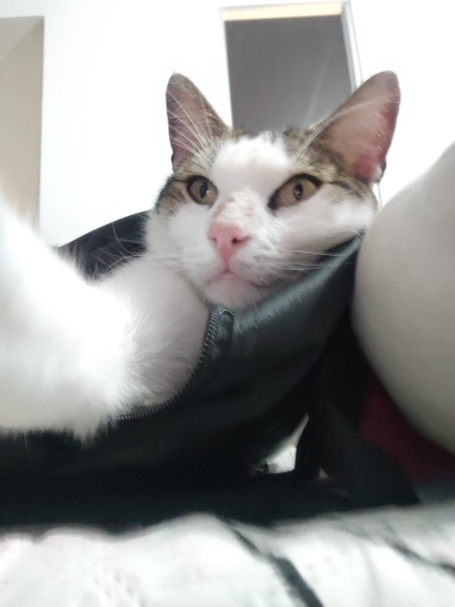 Vae pro⋆.˚ ENHYPEN IS 7 🗣️ tweet media