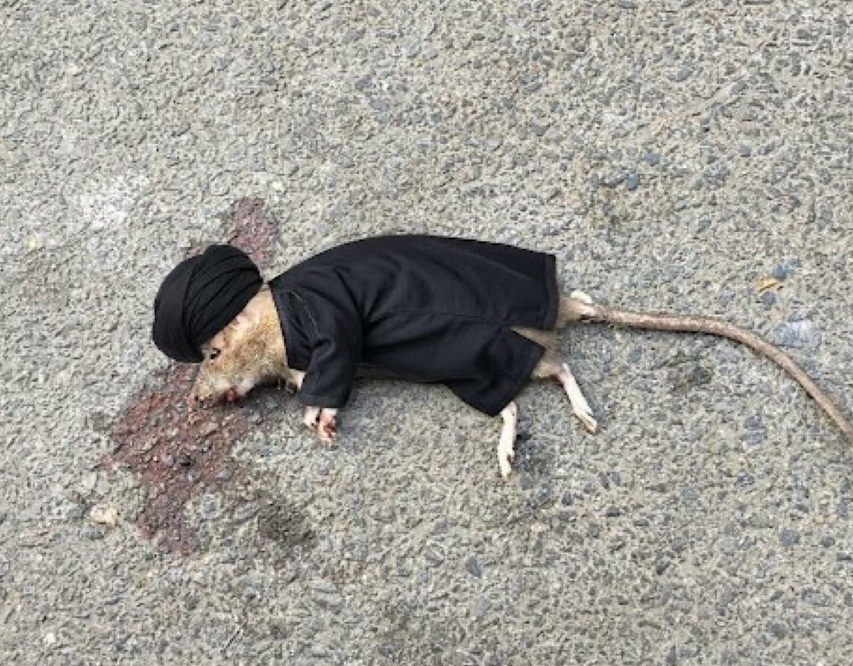 أسامة tweet media