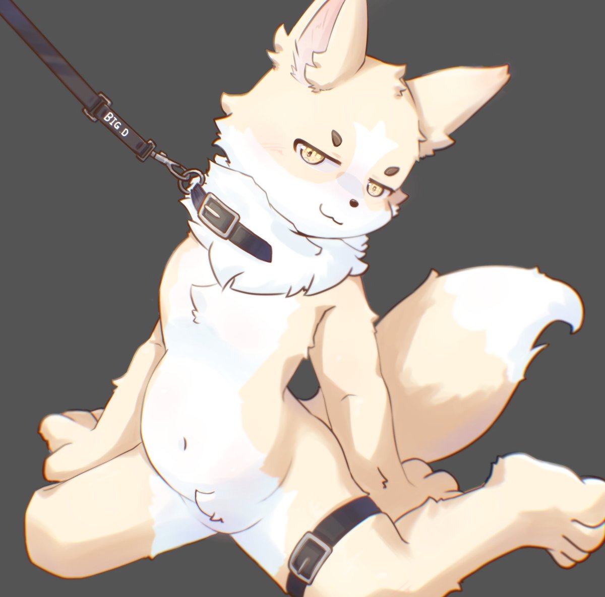 빅댕 🐾 tweet media