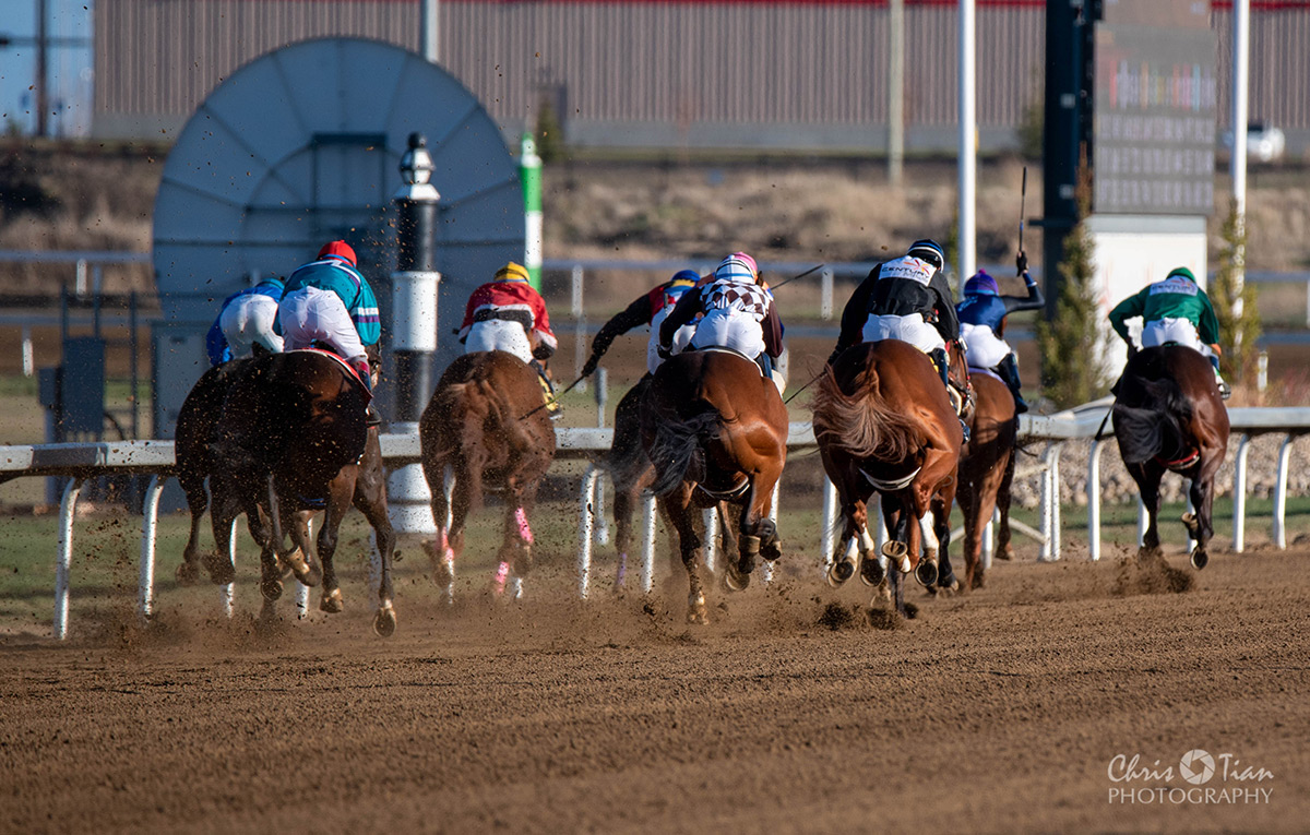 Jockeys Canada tweet media