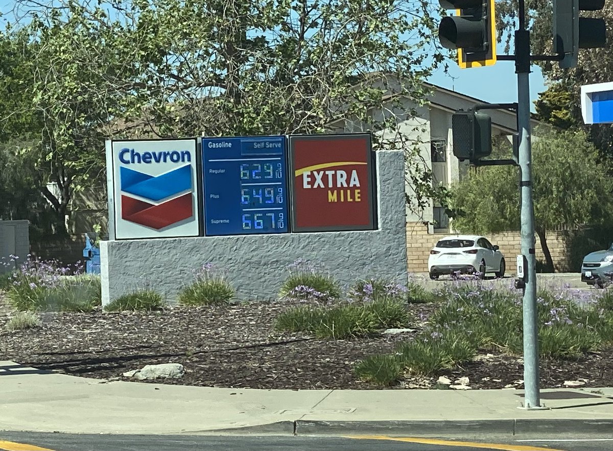 Weather Cat 🇺🇸 tweet media