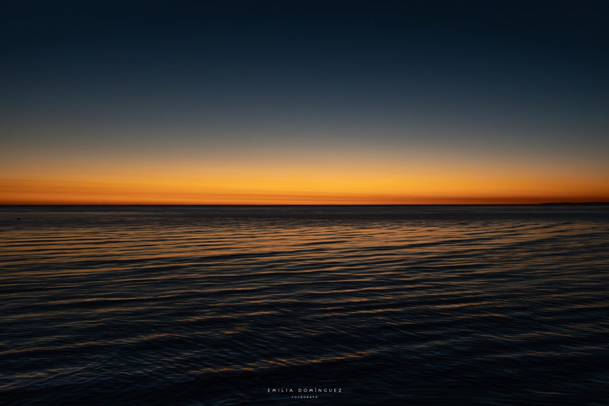 Emilia Domínguez tweet media