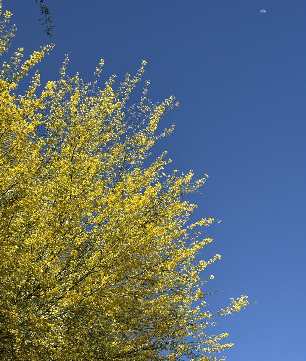 Paola Boivin tweet media