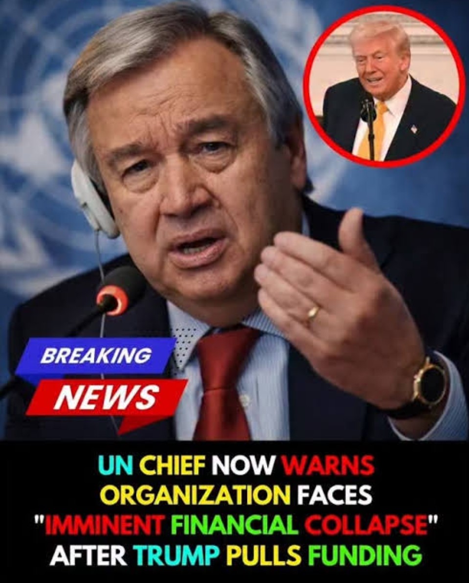 Peter Clack tweet media