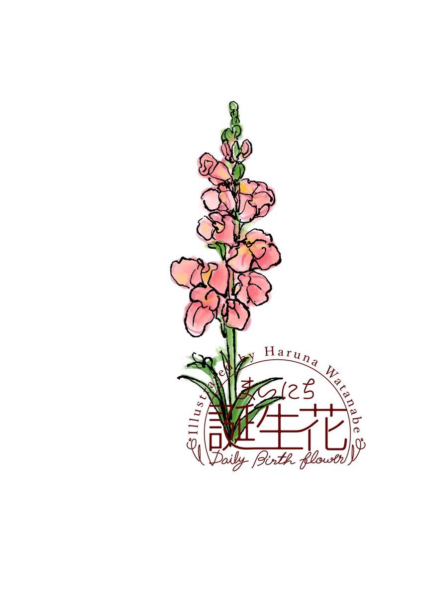 「3月26日 キンギョソウ 花言葉 おおらか #1日1絵 #まいにち誕生花」|渡邊 春菜のイラスト