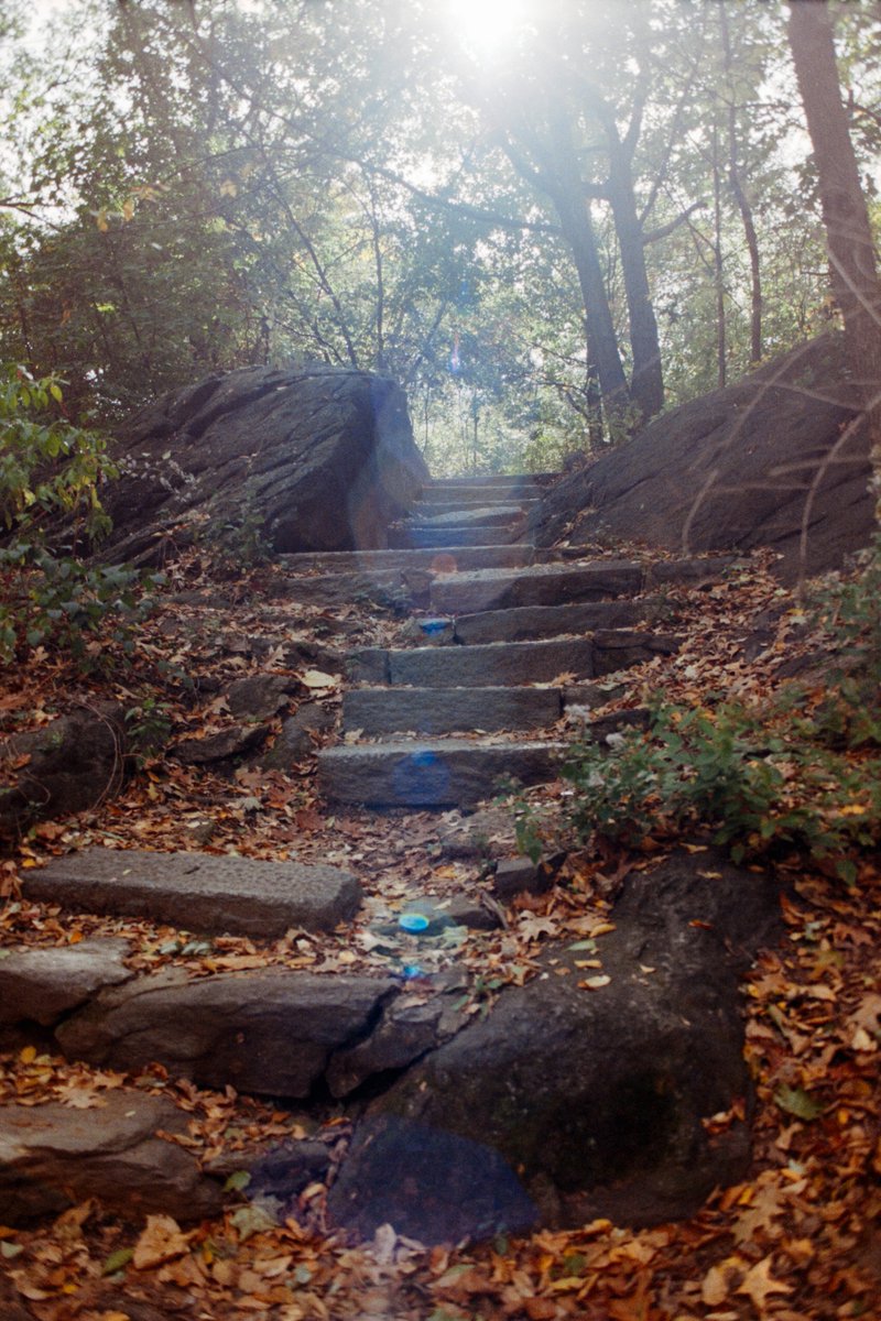 Cyan, like the color tweet media