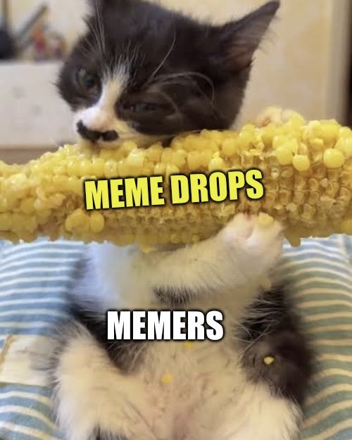 GnosisWolf tweet media