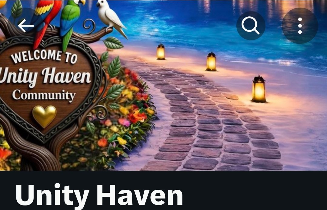 🇧🇷 Surferweb24 tweet media