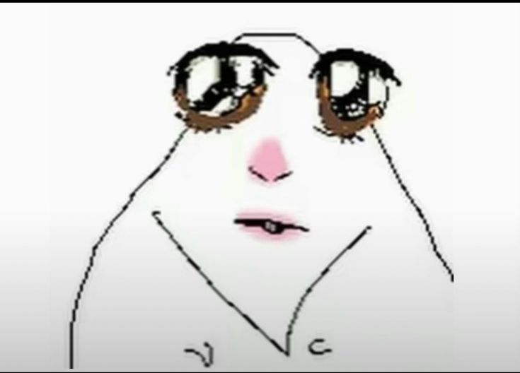 ˙⋆ ᴍᴀᴘʜɪᴇ ⭑.ᐟ tweet media