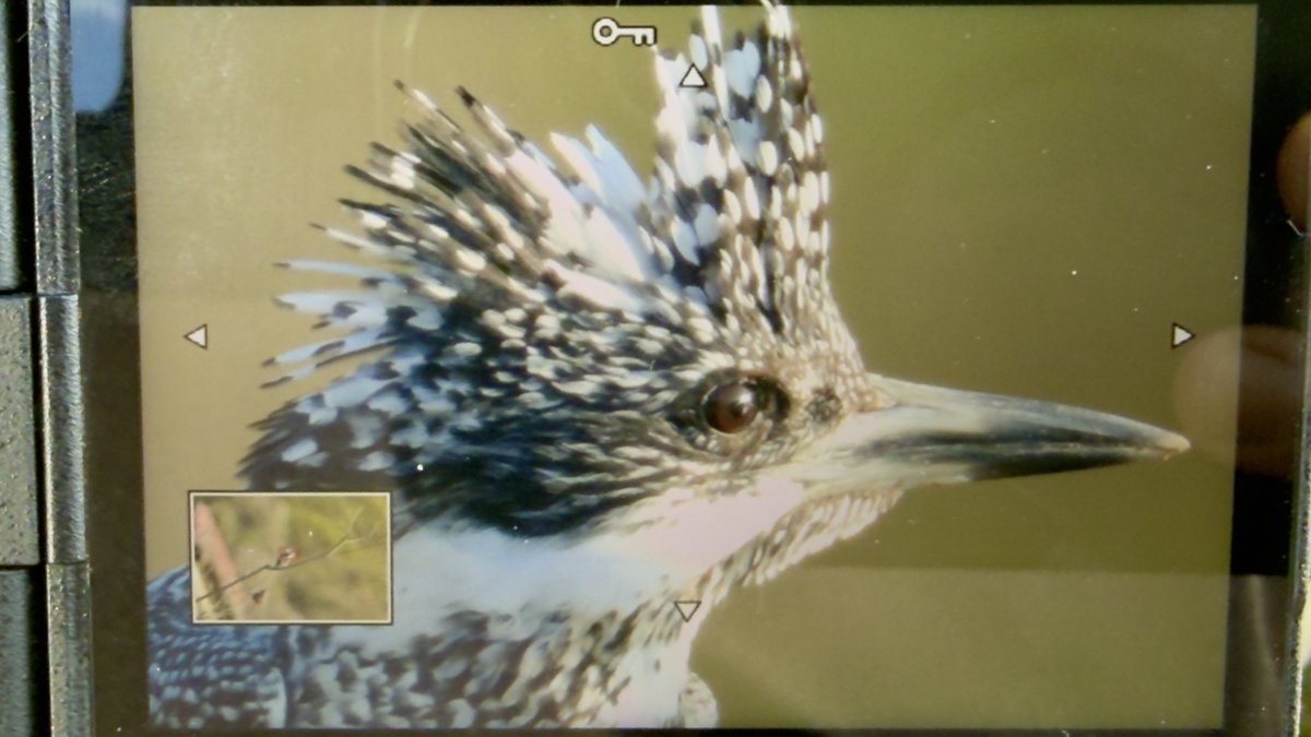 mm765【なむこ】-増田光俊- tweet media