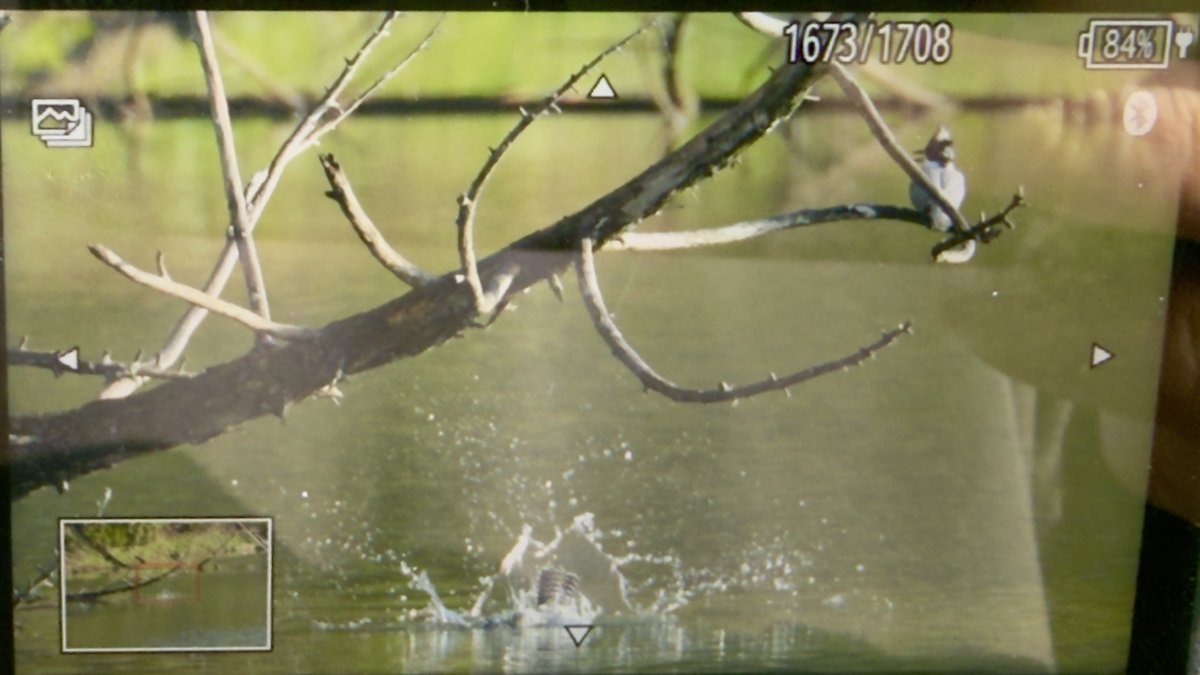 mm765【なむこ】-増田光俊- tweet media