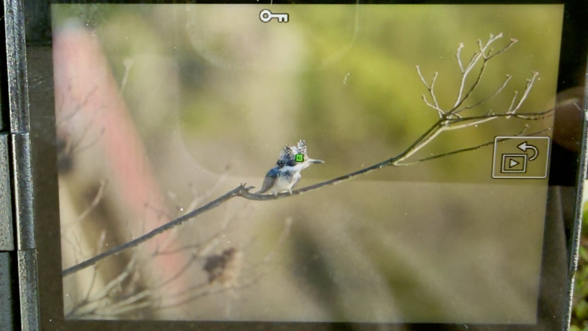 mm765【なむこ】-増田光俊- tweet media