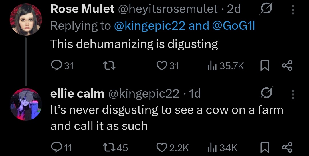 Quokka & Co tweet media