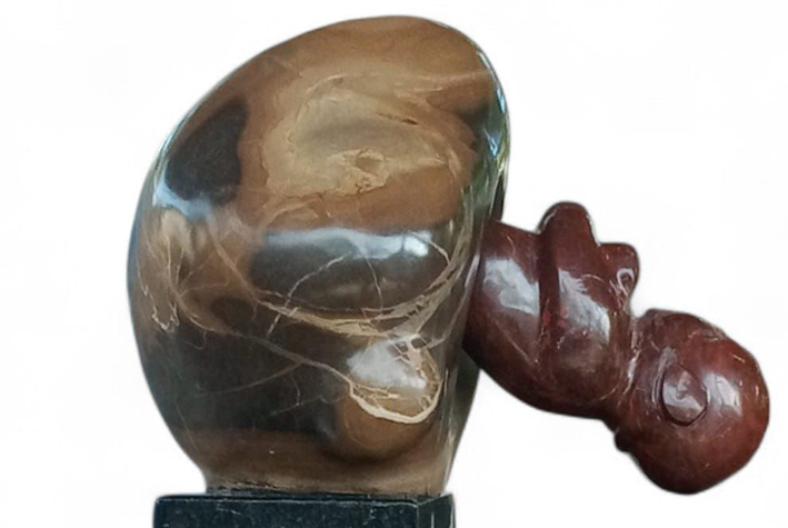 Bonnie López Grau es una artista plástica de Ecuador que comenzó su trayectoria hace una década de forma autodidacta. 
Hoy nos habla de petraviva su última escultura, un verdadero homenaje a la vida.
n9.cl/uonf9
#diadelniñopornacer