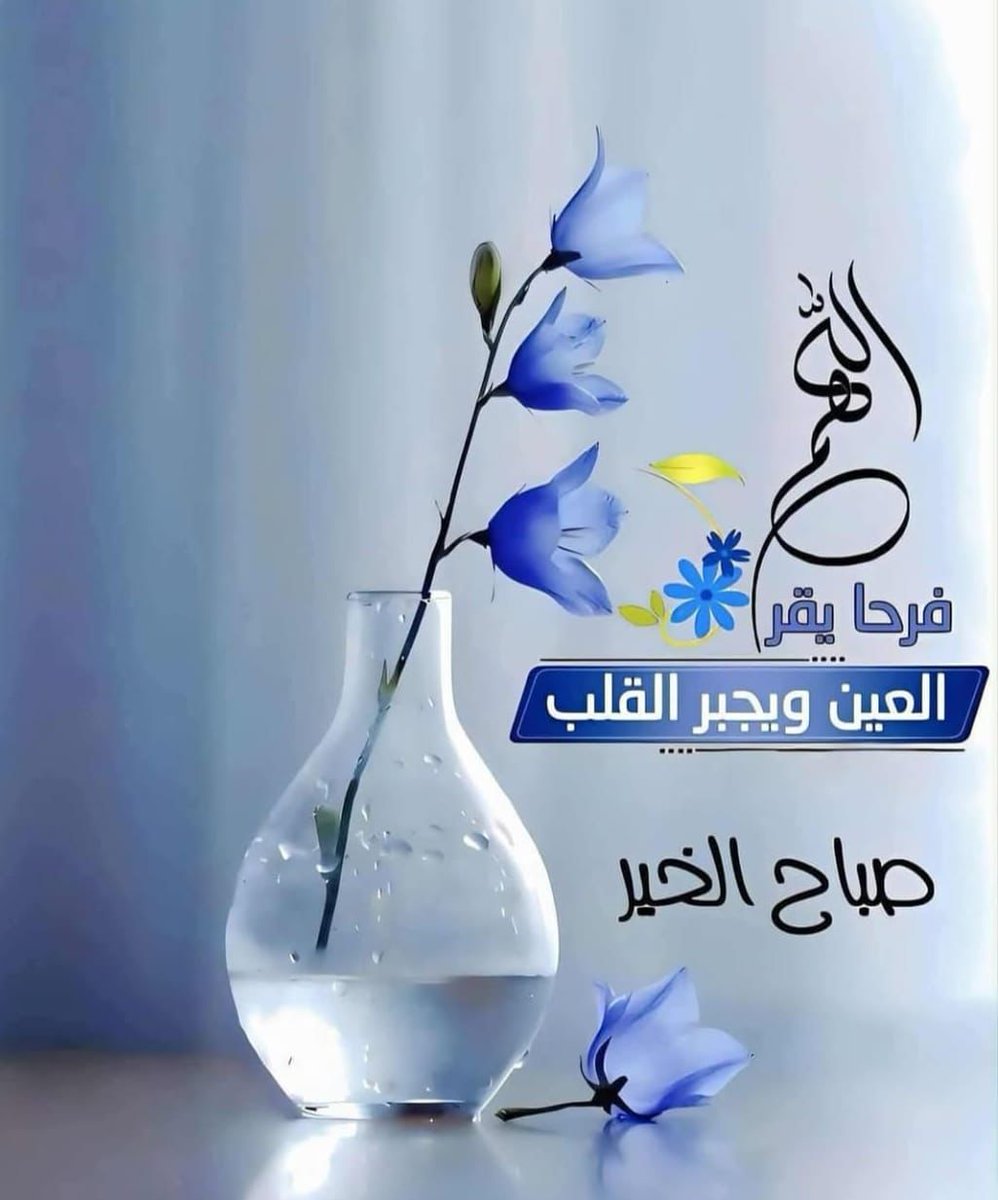 Mona 💞 tweet media