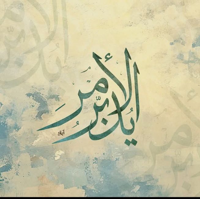 Mona 💞 tweet media