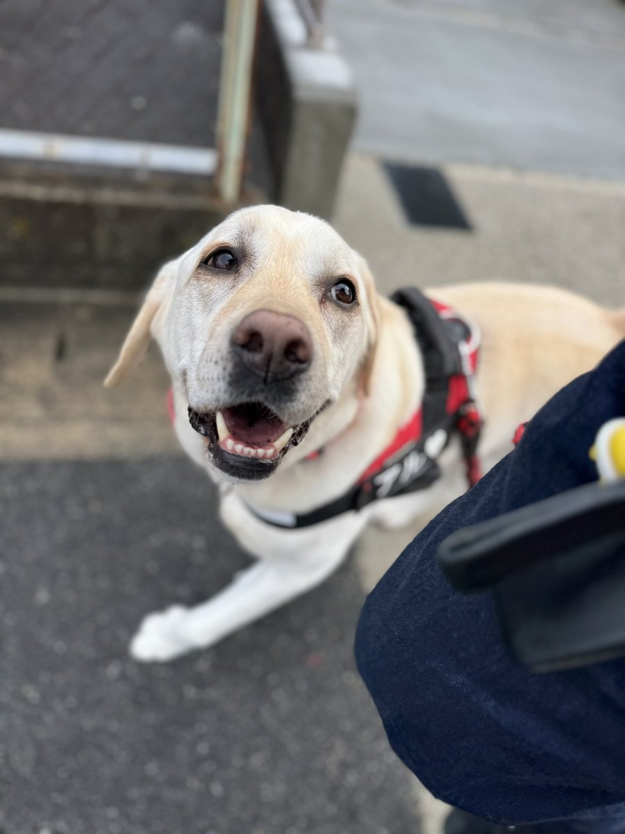 安田武史 tweet media