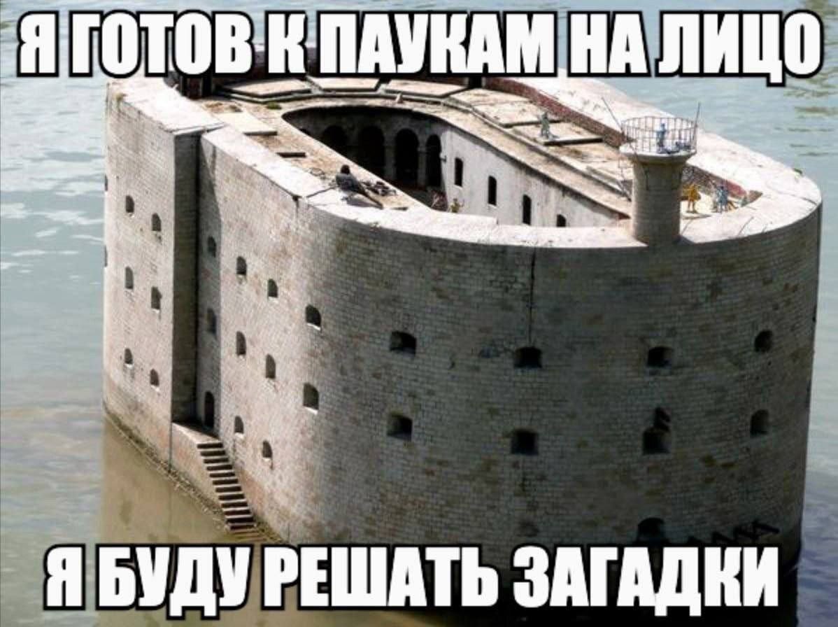 анна такой-то матери tweet media