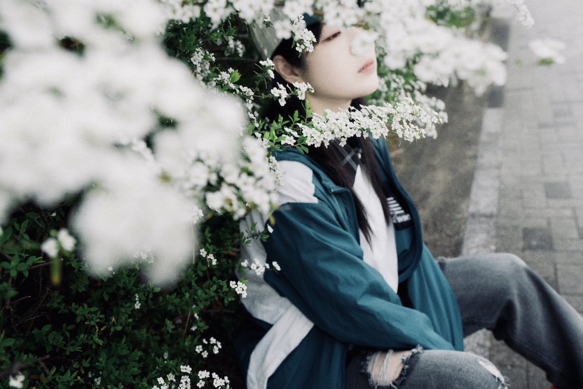 miya_phot0_'s tweet photo. 枝垂れる白き小花
        春の門出に雪散らす

@koguma_camera https://t.co/NCPBTFI9Ys