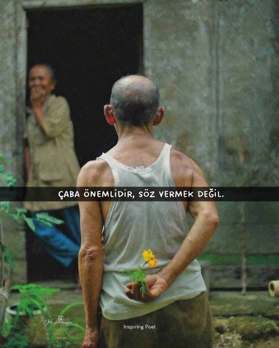 Mental Activity tweet media